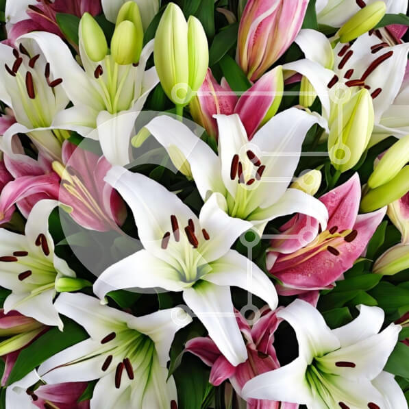 Intra Συλλεκτικό Ξύλινο Παζλ Plywood  4mm - Μπουκέτο με λευκά, ροζ και μωβ κρίνα με τριαντάφυλλα, γαρίφαλα και ορχιδέες Σε Ξύλινο Κουτί - Διαστάσεις: 10x10 cm – 25 κομμάτια