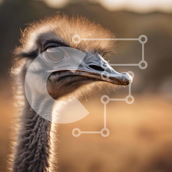 Intra Συλλεκτικό Ξύλινο Παζλ Plywood  4mm - Κοντινό πλάνο που κοιτάζει στρουθοκαμήλου Σε Ξύλινο Κουτί - Διαστάσεις: 10x10 cm – 25 κομμάτια