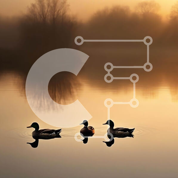 Intra Συλλεκτικό Ξύλινο Παζλ Plywood  4mm - Πάπιες που κολυμπούν στο νερό του ηλιοβασιλέματος Σε Ξύλινο Κουτί - Διαστάσεις: 10x10 cm – 25 κομμάτια