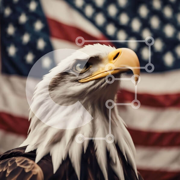 Intra Συλλεκτικό Ξύλινο Παζλ Plywood  4mm - Μεγαλοπρεπής αετός που στέκεται μπροστά από την αμερικανική σημαία Σε Ξύλινο Κουτί - Διαστάσεις: 10x10 cm – 25 κομμάτια