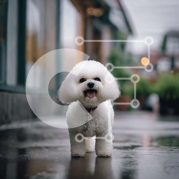 Intra Συλλεκτικό Ξύλινο Παζλ Plywood  4mm - Χαρούμενο λευκό σκυλί στο υγρό πεζοδρόμιο Σε Ξύλινο Κουτί - Διαστάσεις: 10x10 cm – 25 κομμάτια