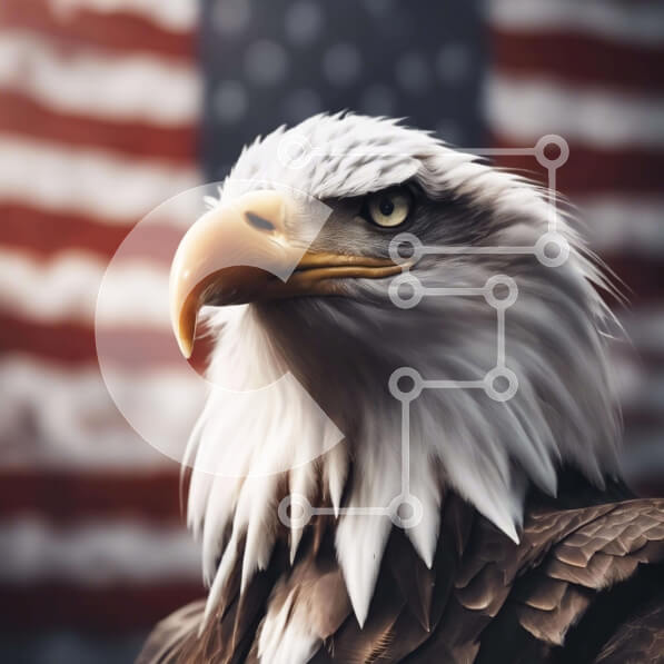 Intra Συλλεκτικό Ξύλινο Παζλ Plywood  4mm - Αετός που στέκεται μπροστά από την αμερικανική σημαία Σε Ξύλινο Κουτί - Διαστάσεις: 10x10 cm – 25 κομμάτια