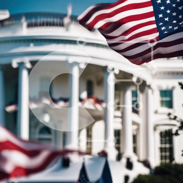 Intra Συλλεκτικό Ξύλινο Παζλ Plywood  4mm - Λευκός Οίκος με την αμερικανική σημαία και τις γύρω σημαίες Σε Ξύλινο Κουτί - Διαστάσεις Puzzle: 10x10 cm – 25 κομμάτια