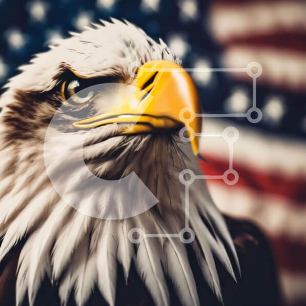 Intra Συλλεκτικό Ξύλινο Παζλ Plywood  4mm - Πατριωτικό κεφάλι αετού μπροστά από την αμερικανική σημαία Σε Ξύλινο Κουτί - Διαστάσεις Puzzle: 10x10 cm – 25 κομμάτια