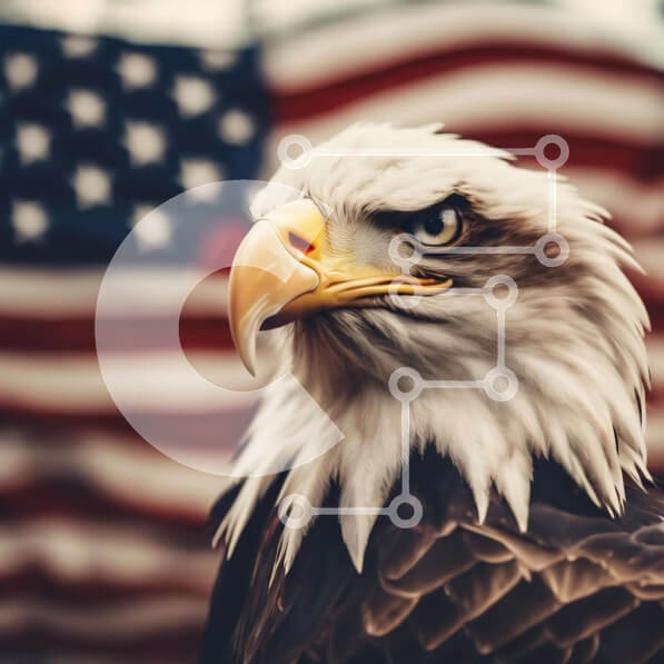 Intra Συλλεκτικό Ξύλινο Παζλ Plywood  4mm - Κοντινό πλάνο του αετού μπροστά από την αμερικανική σημαία Σε Ξύλινο Κουτί - Διαστάσεις: 10x10 cm – 25 κομμάτια