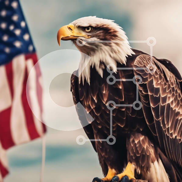 Intra Συλλεκτικό Ξύλινο Παζλ Plywood  4mm - Αετός σκαρφαλωμένος σε μια θέση με φόντο την αμερικανική σημαία Σε Ξύλινο Κουτί - Διαστάσεις: 10x10 cm – 25 κομμάτια