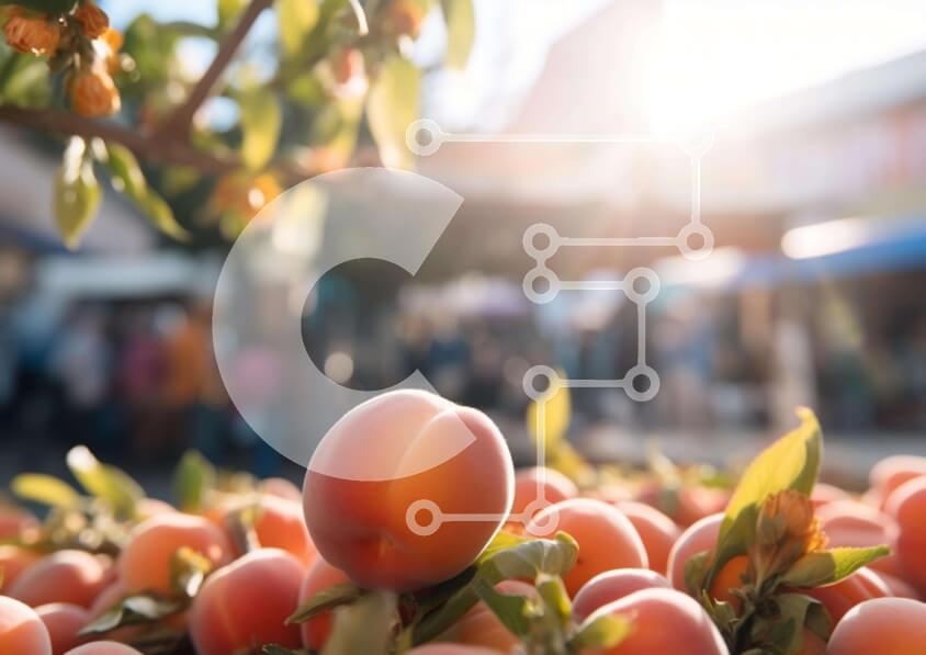 Σετ των 2 Intra Συλλεκτικό Ξύλινο Παζλ Plywood  4mm - Φρέσκα ροδάκινα στην υπαίθρια αγορά Σε Ξύλινο Κουτί - Διαστάσεις: 10x10 cm – 25 κομμάτια