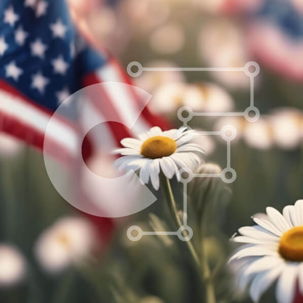 Intra Συλλεκτικό Ξύλινο Παζλ Plywood  4mm - Πεδίο με μαργαρίτες με αμερικανική σημαία Σε Ξύλινο Κουτί - Διαστάσεις Puzzle: 10x10 cm – 25 κομμάτια