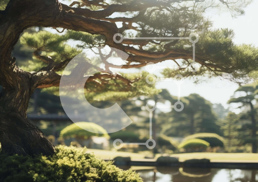 Intra Συλλεκτικό Ξύλινο Παζλ Plywood  4mm - Μεγαλοπρεπές πεύκο στο ειδυλλιακό πάρκο Σε Ξύλινο Κουτί - Διαστάσεις: 10x10 cm – 25 κομμάτια