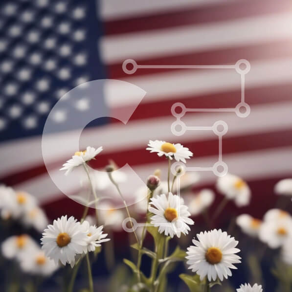 Intra Συλλεκτικό Ξύλινο Παζλ Plywood  4mm - Λευκές μαργαρίτες μπροστά από την αμερικανική σημαία Σε Ξύλινο Κουτί - Διαστάσεις Puzzle: 10x10 cm – 25 κομμάτια