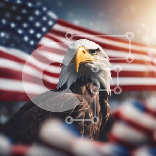 Intra Συλλεκτικό Ξύλινο Παζλ Plywood  4mm - Φαλακρός αετός σε φόντο αμερικανικής σημαίας Σε Ξύλινο Κουτί - Διαστάσεις: 10x10 cm – 25 κομμάτια