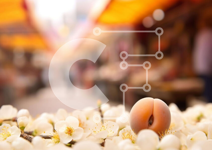 Intra Συλλεκτικό Ξύλινο Παζλ Plywood  4mm - Συστάδα λευκών λουλουδιών με αμύγδαλο σε μια αγορά ή μια εκδήλωση Σε Ξύλινο Κουτί - Διαστάσεις: 10x10 cm – 25 κομμάτια