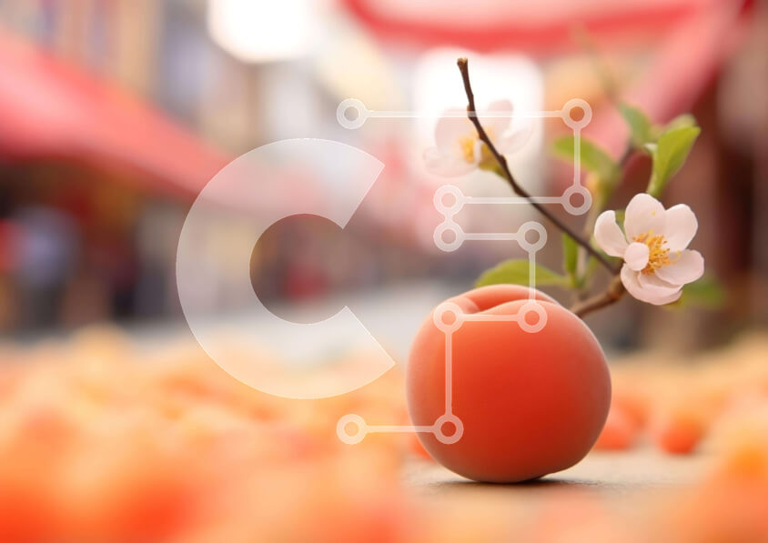 Intra Συλλεκτικό Ξύλινο Παζλ Plywood  4mm - Πορτοκαλί Φρούτο σε Κλαδί με Λευκά Άνθη και Σκορπισμένα Φρούτα Σε Ξύλινο Κουτί - Διαστάσεις: 10x10 cm – 25 κομμάτια