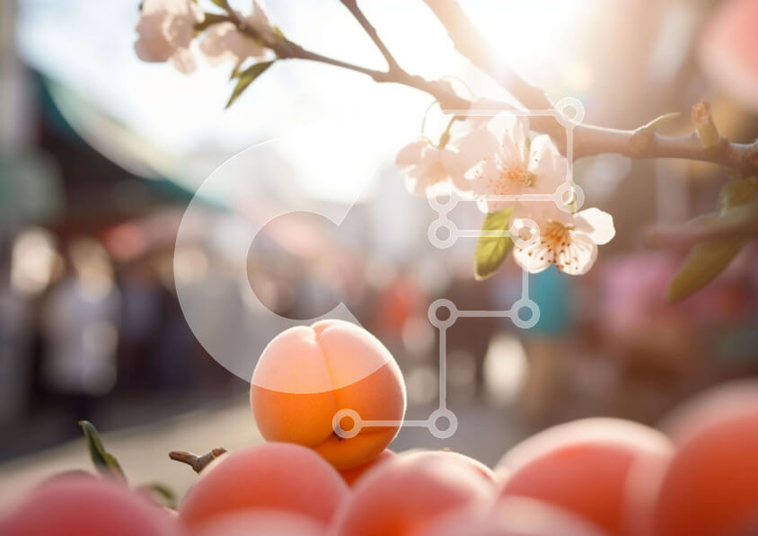 Σετ των 2 Intra Συλλεκτικό Ξύλινο Παζλ Plywood  4mm - Εμφάνιση φρέσκων βερίκοκων με ανθρώπους Σε Ξύλινο Κουτί - Διαστάσεις: 10x10 cm – 25 κομμάτια