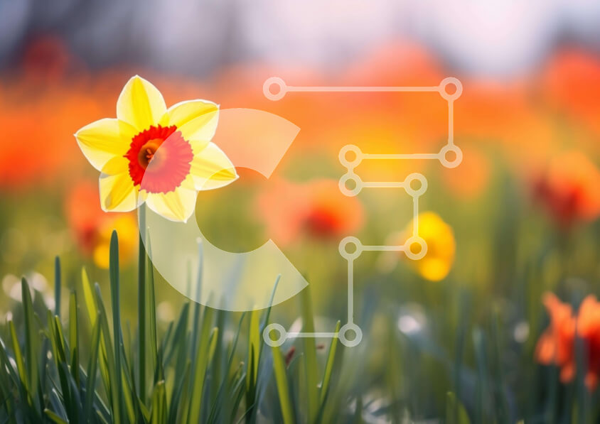 Intra Συλλεκτικό Ξύλινο Παζλ Plywood  4mm - Κίτρινο λουλούδι στο ζωντανό πεδίο των λουλουδιών Σε Ξύλινο Κουτί - Διαστάσεις: 10x10 cm – 25 κομμάτια