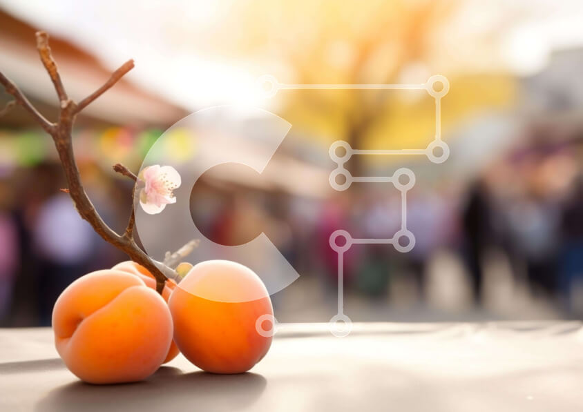 Intra Συλλεκτικό Ξύλινο Παζλ Plywood  4mm - Βερίκοκα σε κλαδί πορτοκαλιάς με εορταστική ατμόσφαιρα Σε Ξύλινο Κουτί - Διαστάσεις: 10x10 cm – 25 κομμάτια