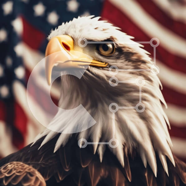 Intra Συλλεκτικό Ξύλινο Παζλ Plywood  4mm - Γκρο πλαν αετός μπροστά από την αμερικανική σημαία Σε Ξύλινο Κουτί - Διαστάσεις: 10x10 cm – 25 κομμάτια