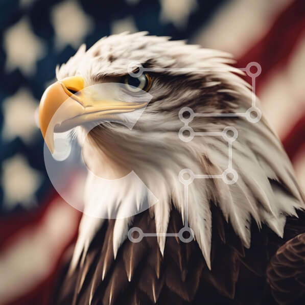 Intra Συλλεκτικό Ξύλινο Παζλ Plywood  4mm - Φαλακρός αετός σκαρφαλωμένος στην αμερικανική σημαία Σε Ξύλινο Κουτί - Διαστάσεις: 10x10 cm – 25 κομμάτια