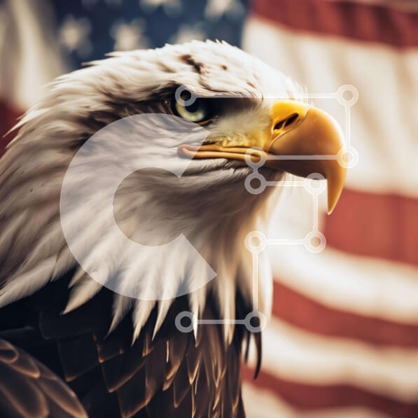 Intra Συλλεκτικό Ξύλινο Παζλ Plywood  4mm - Αετός και αμερικανική σημαία Σε Ξύλινο Κουτί - Διαστάσεις: 10x10 cm – 25 κομμάτια