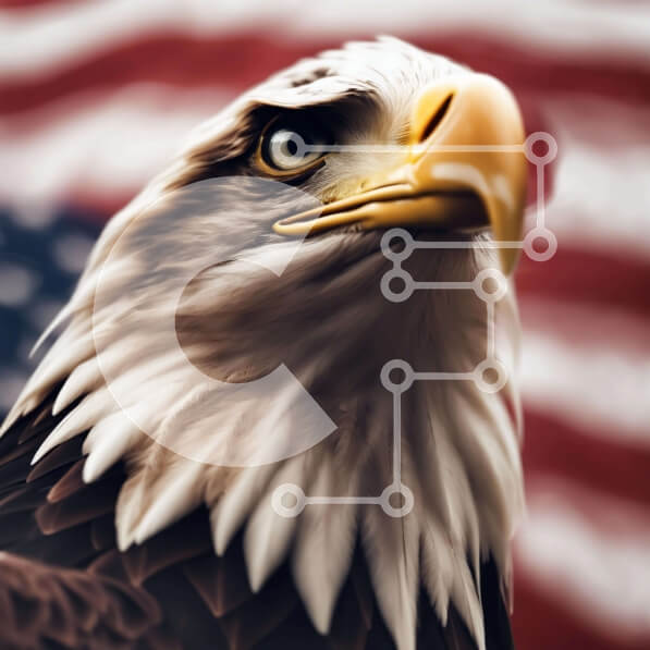 Intra Συλλεκτικό Ξύλινο Παζλ Plywood  4mm - Αετός μπροστά από την αμερικανική σημαία Σε Ξύλινο Κουτί - Διαστάσεις: 10x10 cm – 25 κομμάτια