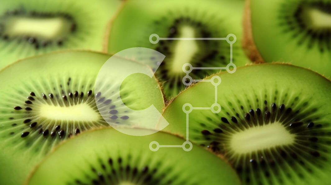 Σετ των 2 Intra Συλλεκτικό Ξύλινο Παζλ Plywood  4mm - Φέτες φρούτων ακτινιδίων σε διάφορα σχήματα Σε Ξύλινο Κουτί - Διαστάσεις: 10x10 cm – 25 κομμάτια