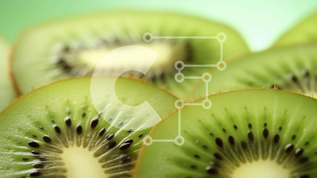 Σετ των 2 Intra Συλλεκτικό Ξύλινο Παζλ Plywood  4mm - Κοντινό πλάνο τεμαχισμένου ακτινιδίου Σε Ξύλινο Κουτί - Διαστάσεις: 10x10 cm – 25 κομμάτια