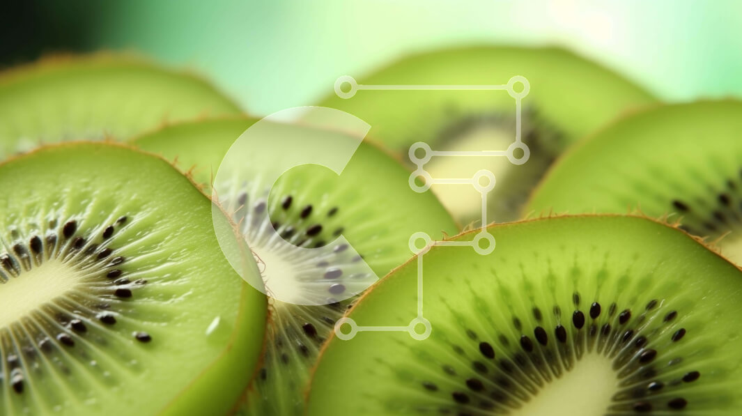 Σετ των 2 Intra Συλλεκτικό Ξύλινο Παζλ Plywood  4mm - Φέτες φρούτων ακτινιδίων από κοντά Σε Ξύλινο Κουτί - Διαστάσεις: 10x10 cm – 25 κομμάτια