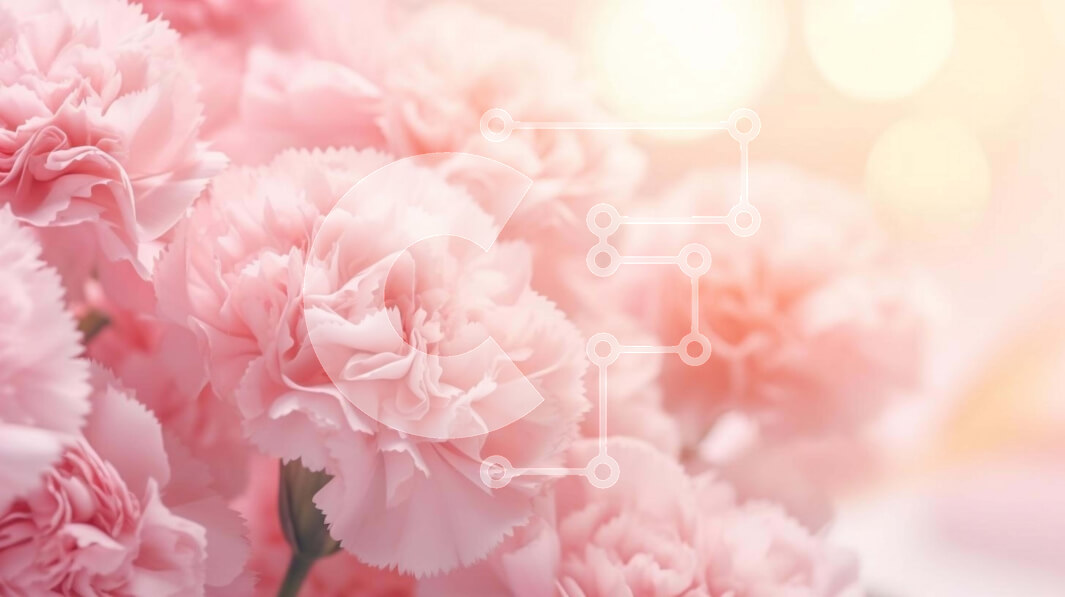 Σετ των 2 Intra Συλλεκτικό Ξύλινο Παζλ Plywood  4mm - Ροζ γαρύφαλλο μπουκέτο - σύμβολο αγάπης και ρομαντισμού Σε Ξύλινο Κουτί - Διαστάσεις: 10x10 cm – 25 κομμάτια