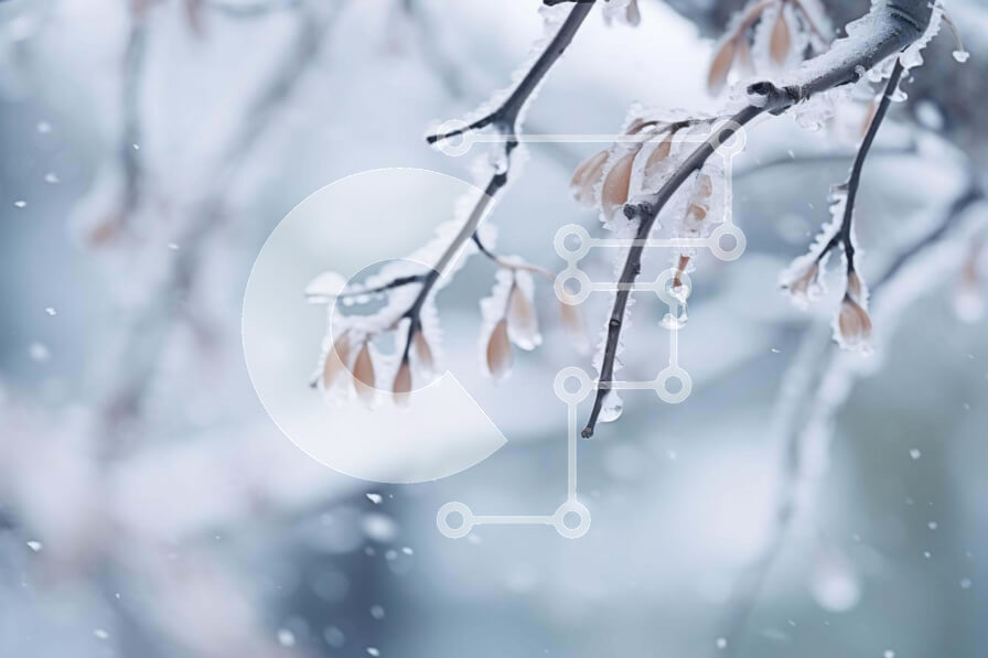 Intra Συλλεκτικό Ξύλινο Παζλ Plywood  4mm - Χιονισμένο κλαδί δέντρου με νιφάδες χιονιού που πέφτουν Σε Ξύλινο Κουτί - Διαστάσεις: 10x10 cm – 25 κομμάτια