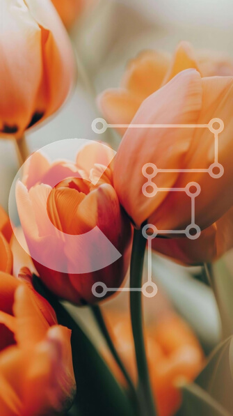 Σετ των 2 Intra Συλλεκτικό Ξύλινο Παζλ Plywood  4mm - Ζωντανό μπουκέτο με πορτοκαλί τουλίπες και ανάμεικτα λουλούδια Σε Ξύλινο Κουτί - Διαστάσεις: 10x10 cm – 25 κομμάτια