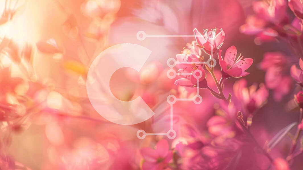 Intra Συλλεκτικό Ξύλινο Παζλ Plywood  4mm - Ανθισμένα ροζ λουλούδια με το φως του ήλιου Σε Ξύλινο Κουτί - Διαστάσεις: 10x10 cm – 25 κομμάτια