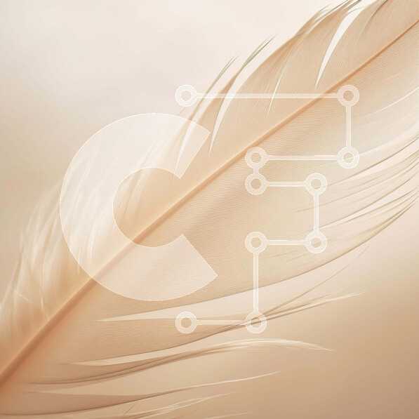 Intra Συλλεκτικό Ξύλινο Παζλ Plywood  4mm - Άγνωστο λευκό φτερό που επιπλέει στον αέρα Σε Ξύλινο Κουτί - Διαστάσεις: 10x10 cm – 25 κομμάτια