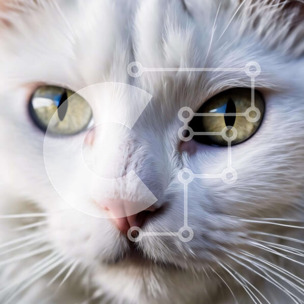 Intra Συλλεκτικό Ξύλινο Παζλ Plywood  4mm - Όμορφη λευκή γάτα με πράσινα μάτια Σε Ξύλινο Κουτί - Διαστάσεις: 10x10 cm – 25 κομμάτια