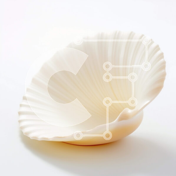 Intra Συλλεκτικό Ξύλινο Παζλ Plywood  4mm - Λευκό κοχύλι σε απλή λευκή επιφάνεια Σε Ξύλινο Κουτί - Διαστάσεις: 10x10 cm – 25 κομμάτια