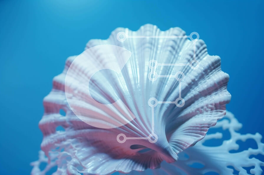 Intra Συλλεκτικό Ξύλινο Παζλ Plywood  4mm - Λευκό κοχύλι σε μπλε φόντο Σε Ξύλινο Κουτί - Διαστάσεις: 10x10 cm – 25 κομμάτια