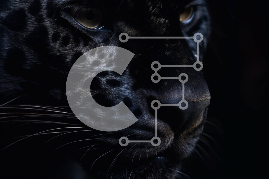 Σετ των 2 Intra Συλλεκτικό Ξύλινο Παζλ Plywood  4mm - Έντονο βλέμμα: Κοντινό πλάνο της Black Jaguar Σε Ξύλινο Κουτί - Διαστάσεις: 10x10 cm – 25 κομμάτια