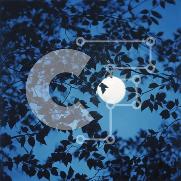 Intra Συλλεκτικό Ξύλινο Παζλ Plywood  4mm - Πανσέληνος που λάμπει μέσα από φύλλα βελανιδιάς Σε Ξύλινο Κουτί - Διαστάσεις: 10x10 cm – 25 κομμάτια