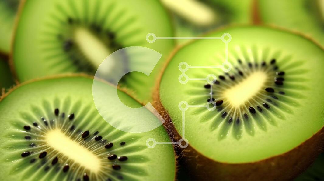 Σετ των 2 Intra Συλλεκτικό Ξύλινο Παζλ Plywood  4mm - Κοντινό πλάνο πράσινων φετών φρούτων ακτινιδίων Σε Ξύλινο Κουτί - Διαστάσεις: 10x10 cm – 25 κομμάτια