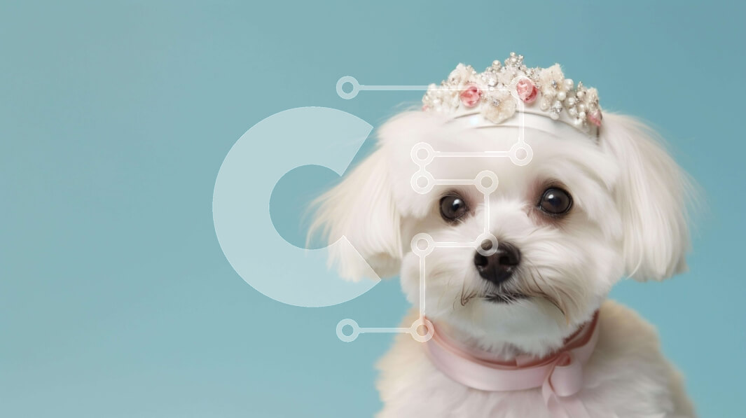 Intra Συλλεκτικό Ξύλινο Παζλ Plywood  4mm - Κομψό λευκό σκυλί με τιάρα Σε Ξύλινο Κουτί - Διαστάσεις: 10x10 cm – 25 κομμάτια