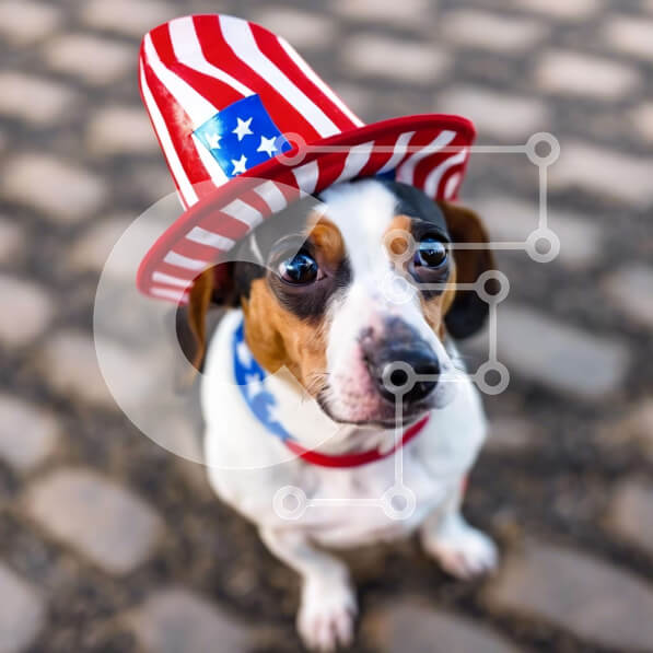 Intra Συλλεκτικό Ξύλινο Παζλ Plywood  4mm - Μικρό σκυλί με καπέλο με θέμα την αμερικανική σημαία για τις 4 Ιουλίου Σε Ξύλινο Κουτί - Διαστάσεις: 10x10 cm – 25 κομμάτια