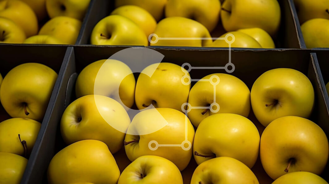 Σετ των 2 Intra Συλλεκτικό Ξύλινο Παζλ Plywood  4mm - Ποικιλία μήλων σε κουτιά - φρέσκα και ώριμα Σε Ξύλινο Κουτί - Διαστάσεις: 10x10 cm – 25 κομμάτια