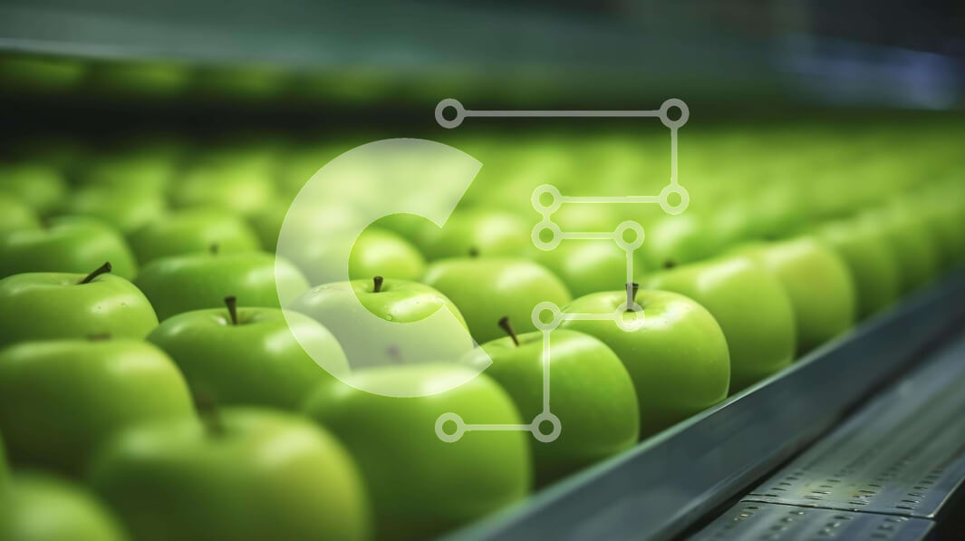 Σετ των 2 Intra Συλλεκτικό Ξύλινο Παζλ Plywood  4mm - Φρέσκα πράσινα μήλα στη ζώνη μεταφοράς Σε Ξύλινο Κουτί - Διαστάσεις: 10x10 cm – 25 κομμάτια