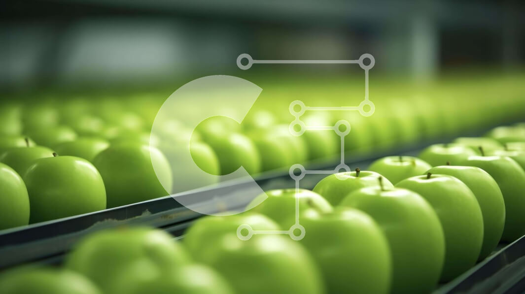 Σετ των 2 Intra Συλλεκτικό Ξύλινο Παζλ Plywood  4mm - Γραμμή πράσινων μήλων σε ένα εργοστάσιο μήλων Σε Ξύλινο Κουτί - Διαστάσεις: 10x10 cm – 25 κομμάτια