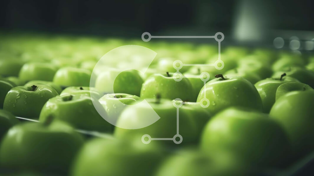 Σετ των 2 Intra Συλλεκτικό Ξύλινο Παζλ Plywood  4mm - Τακτοποιημένα πράσινα μήλα σε βιομηχανικό περιβάλλον Σε Ξύλινο Κουτί - Διαστάσεις: 10x10 cm – 25 κομμάτια