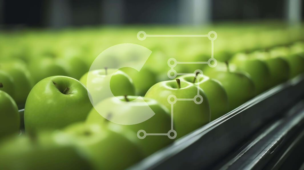 Intra Συλλεκτικό Ξύλινο Παζλ Plywood  4mm - Πράσινα μήλα σε μια μεταφορική ζώνη σε έναν οπωρώνα μηλιάς Σε Ξύλινο Κουτί - Διαστάσεις: 10x10 cm – 25 κομμάτια