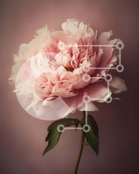 Intra Συλλεκτικό Ξύλινο Παζλ Plywood  4mm - Ροζ λουλούδι παιώνιας σε ανοιχτό βάζο Σε Ξύλινο Κουτί - Διαστάσεις: 10x10 cm – 25 κομμάτια