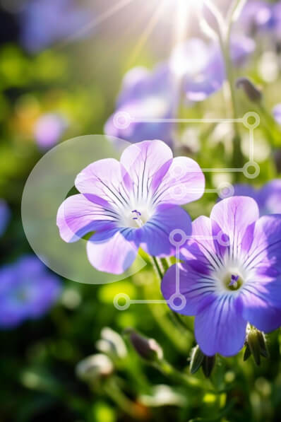 Σετ των 2 Intra Συλλεκτικό Ξύλινο Παζλ Plywood  4mm - Κοντινό πλάνο μωβ λουλουδιών στο φως του ήλιου Σε Ξύλινο Κουτί - Διαστάσεις: 10x10 cm – 25 κομμάτια