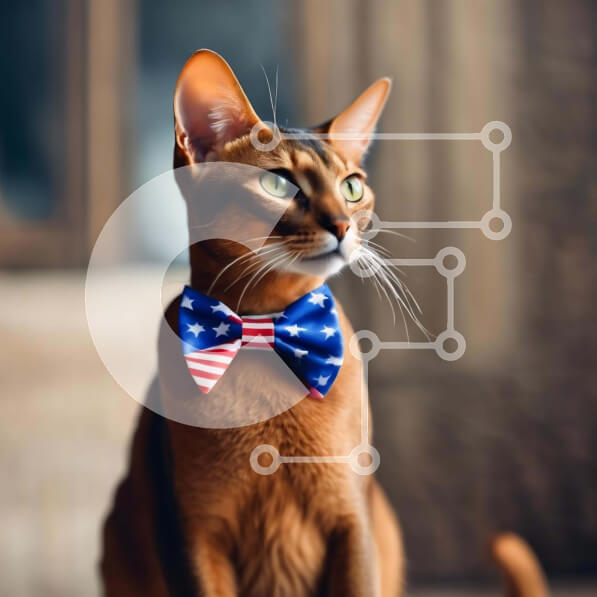 Intra Συλλεκτικό Ξύλινο Παζλ Plywood  4mm - Καφέ γάτα με παπιγιόν με αμερικανική σημαία Σε Ξύλινο Κουτί - Διαστάσεις: 10x10 cm – 25 κομμάτια