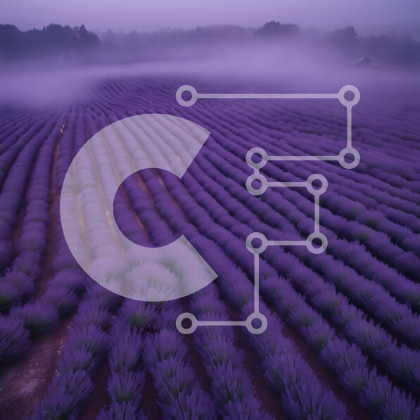 Intra Συλλεκτικό Ξύλινο Παζλ Plywood  4mm - Πεδίο λεβάντας στην ομίχλη με μωβ λουλούδια και αεροπλάνο Σε Ξύλινο Κουτί - Διαστάσεις: 10x10 cm – 25 κομμάτια