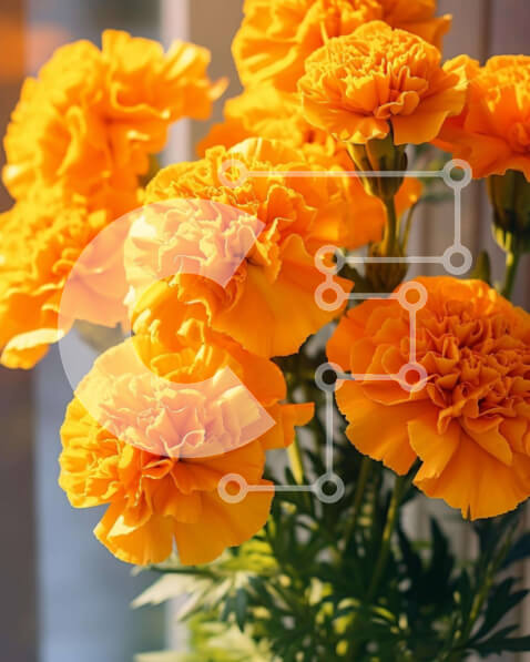 Intra Συλλεκτικό Ξύλινο Παζλ Plywood  4mm - Πορτοκαλί και κίτρινα λουλούδια σε βάζο από παράθυρο Σε Ξύλινο Κουτί - Διαστάσεις: 10x10 cm – 25 κομμάτια